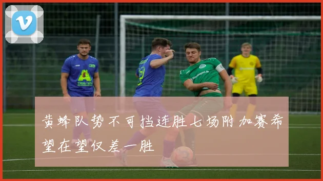 黄蜂队势不可挡连胜七场附加赛希望在望仅差一胜