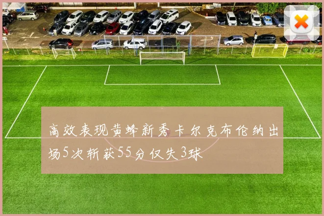 高效表现黄蜂新秀卡尔克布伦纳出场5次斩获55分仅失3球