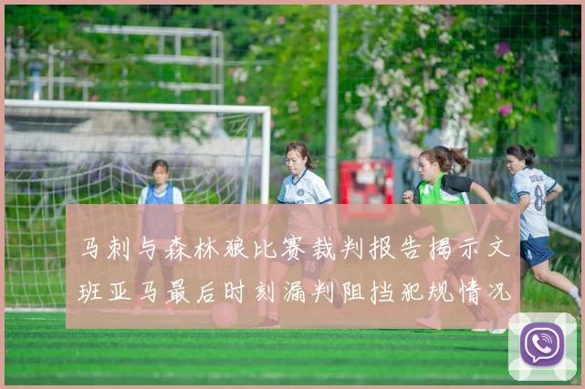 马刺与森林狼比赛裁判报告揭示文班亚马最后时刻漏判阻挡犯规情况