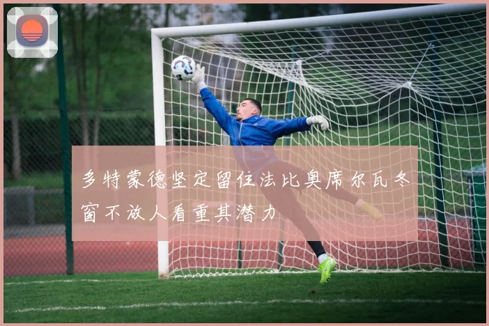 多特蒙德坚定留住法比奥席尔瓦冬窗不放人看重其潜力